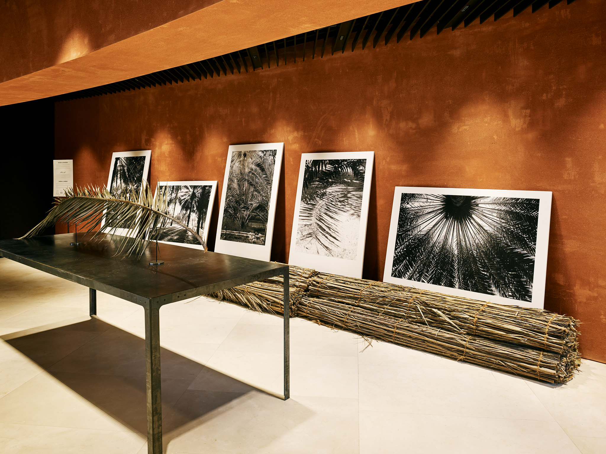 E15547 Alpa 050365 SCREEN